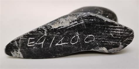 Inuit Stone Carving Of Seal Signed With Disc Number And A Surprise