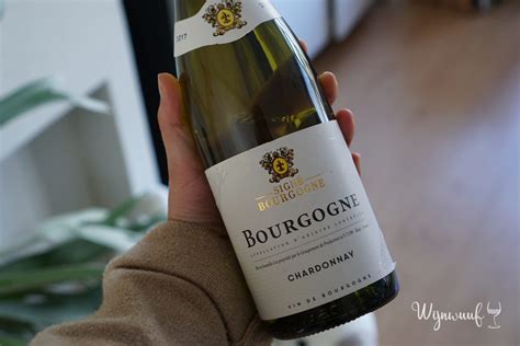 Review witte wijn Signé Bourgogne Chardonnay Jumbo Wijnwuuf
