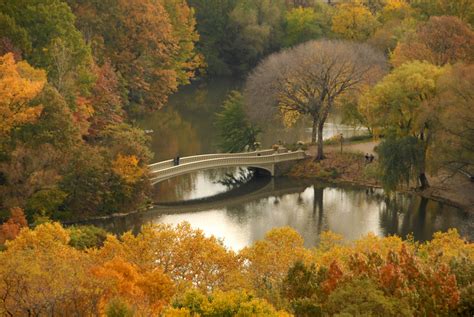 Fall In Central Park Bow Bridge Central Park Conservancy Flickr