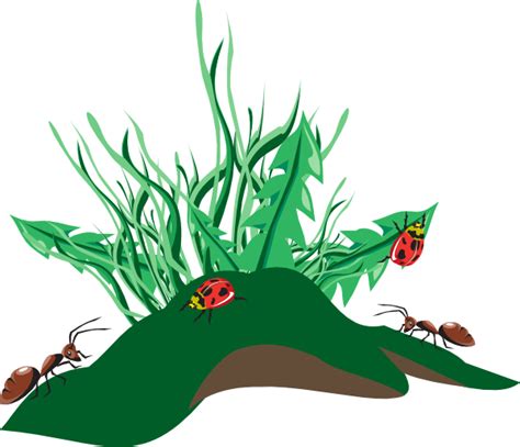 Grass Clipart Ladybug Grass Ladybug Transparent Free For Download On