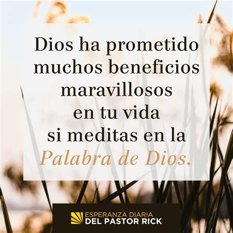 Aprende Bien La Palabra De Dios Pastor Ricks Daily Hope