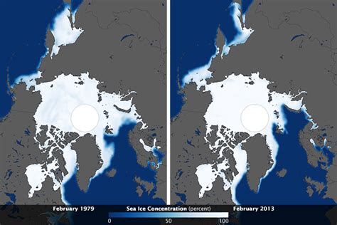 Despite Antarctic Gains Global Sea Ice Is Shrinking