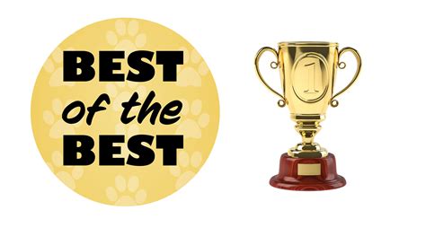 Best Of The Best Downeast Dog News