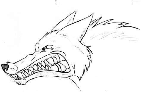 Snarling Wolf Drawing At Getdrawings Free Download