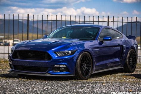 Blue Mustang Colors The Ultimate Guide