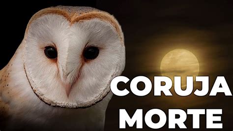 A Lenda Da Rasga Mortalha