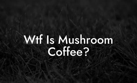 Doze Mushroom Coffee Mr Mushroom
