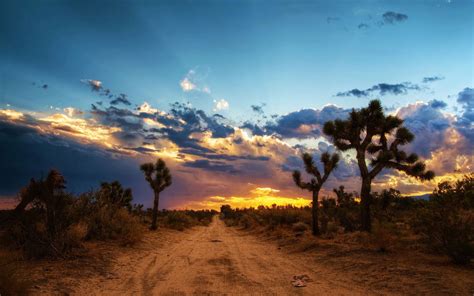 Free Download Mojave Desert North America Wallpaper