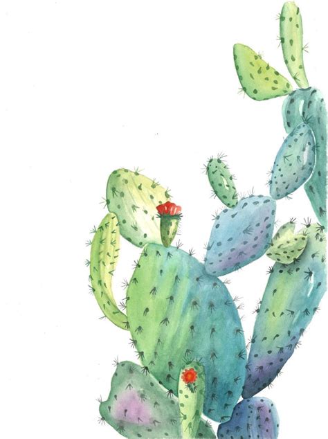 Print Of Original Watercolor Prickly Pear Cactus Painting