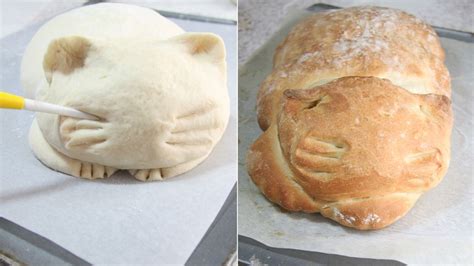 Behold The Catloaf Your Adorable Edible Friend Abc News