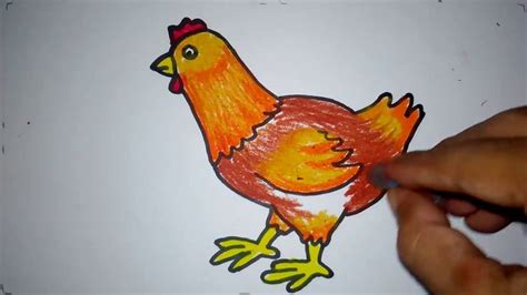 Gambar mewarnai sepasang ayam jantan dan betina beserta anak anaknya. 63 Koleksi Contoh Kolase Gambar Ayam Terbaik | Kolase ...