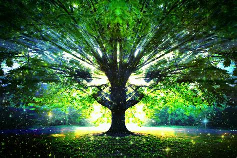 Mystic Tree By Xwolfric On Deviantart