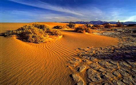 Death Valley Desert Area With Red Sand National Park California Usa Hd