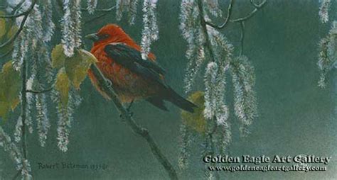 Robert Bateman Golden Eagle Art Gallery