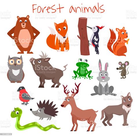 Set Of Cute Cartoon Forest Animals Vector Flat Illustration Stock