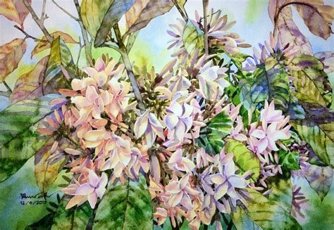 จันทน์กะพ้อ Watercolor painting By Ti Watercolor (With images) | Floral watercolor, Watercolor ...