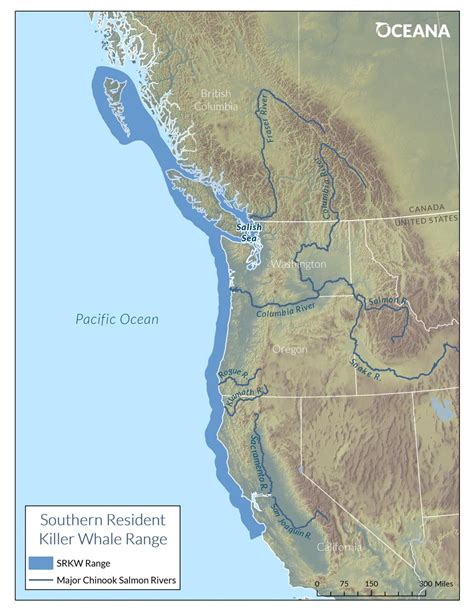 Southern Resident Orcas Oceana Usa