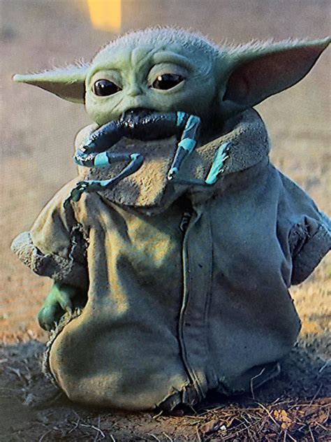 Baby Yoda Likes Frogs Rbabyyoda Baby Yoda Know Your Meme
