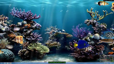 Wallpaper Animasi 3d Bergerakreefcoral Reefstony Coralaquarium
