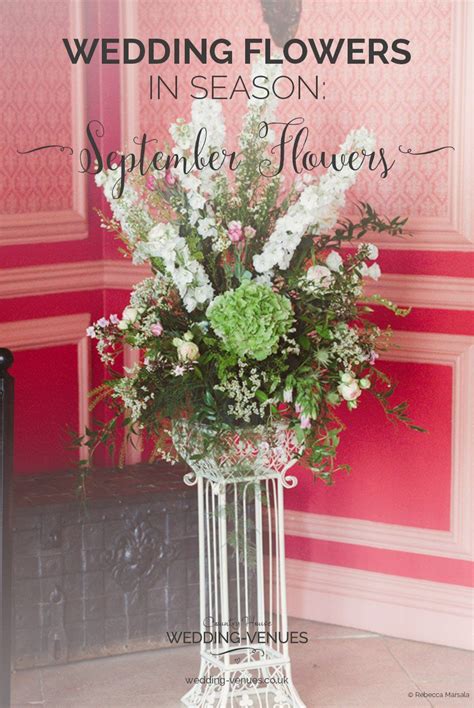 As the interior decoration, in bridal bouquets, gardens or pots. Wedding Flowers In Season September (With images ...