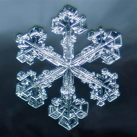 How To Photograph Snowflakes And Blow Your Mind — Craig Goodwin