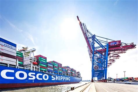 Chinas Cosco Shipping Ports To Buy 25 Of Egypts Sokhna Terminal To