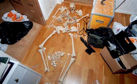 Woman Charged For Allegedly Having Sex With Skeleton In Sweden Huffpost