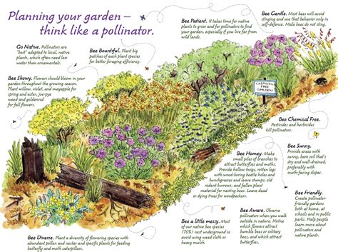 Check spelling or type a new query. How to Celebrate National Pollinator Week - 15-21 June: Go ...