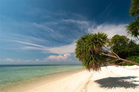 Island Paradise On The Beach In Malaysia Stock Image Image Of