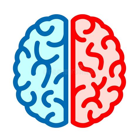 Left And Right Brain Concept With Head Silhouette Stock Vector