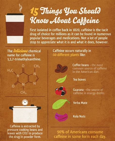 15 Things You Should Know About Caffeine 3 Pics