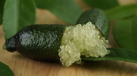 What Makes Finger Limes The Caviar Of Citrus