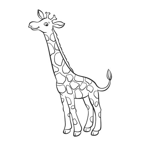 Coloriage Girafe Tous Les Dessins De Tête à Modeler