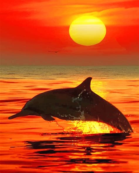 Easy Painting Sunset Dolphin Drawing Dolphin Sunset Watercolor