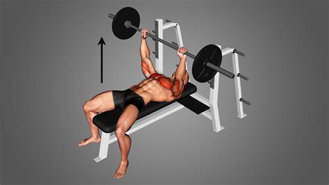 Best Horizontal Push Exercises With Pictures Inspire Us