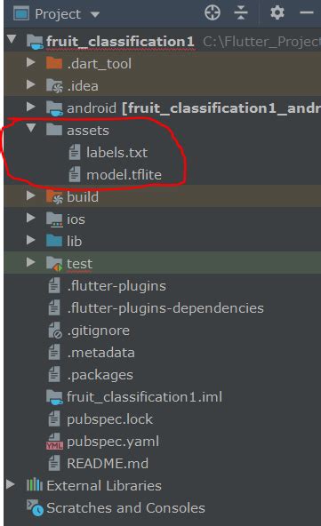 Android Flutter Can T Detect Model Tflite File From Assets Folder My