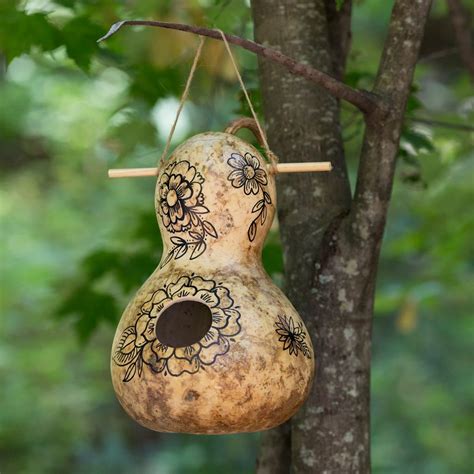 Free shipping on qualified orders. DIY Birdhouse - Birds and Blooms