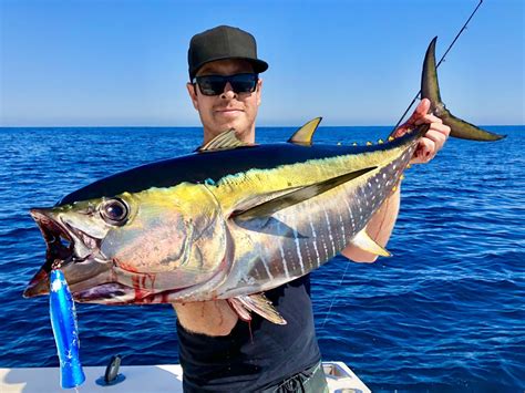 Best Tuna Fishing Of The Year For San Diego Boats Bdoutdoors