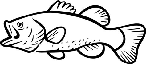 Largemouth Bass Drawing Outline Clip Art Library