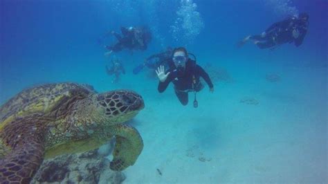 Incredible Best Places To Scuba Dive In Oahu Ideas