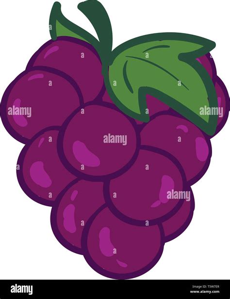 Grapes Drawing In Color