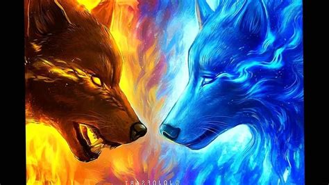 Fire Wolf Wallpapers Wolf Background Images