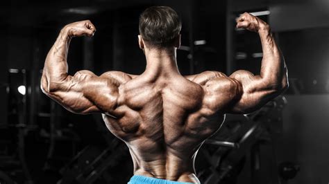 Back And Bicep Workouts For Mass