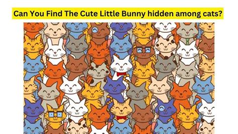 Brain Teaser For Iq Test Can You Find The Cute Little Bunny Lost Among