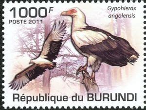 Stamp Palm Nut Vulture Gypohierax Angolensis Burundi Birds