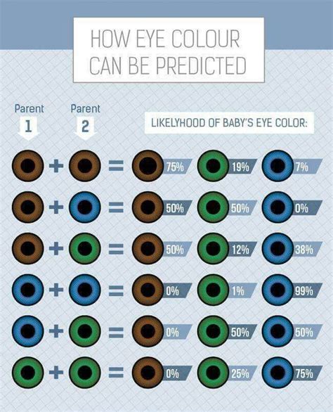 The Perfect Guide To What Your Kids Might Look Like Eye Color Chart