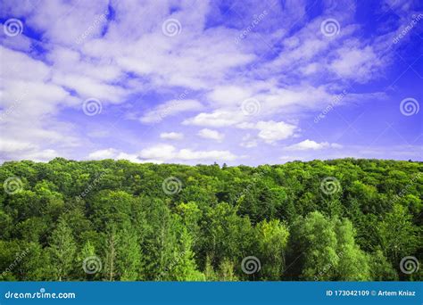 Nature Wallpaper Idyllic Background Forest Landscape Top Of Trees