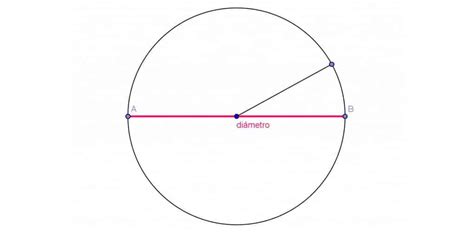 ¿cómo Sacar El Diámetro De Un Círculo Descubre El Diámetro De Un