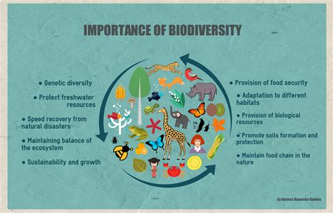 Exploring The Beauty Of Biodiversity