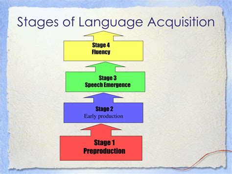 Four Stages Of Language Acquisition